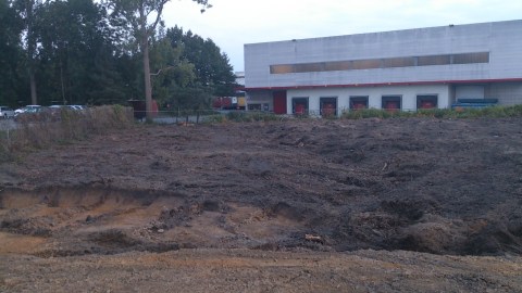 Transportgigant H. Essers kan nu 1,7 hectare eeuwenoud bos vervangen door nog meer loodsen.