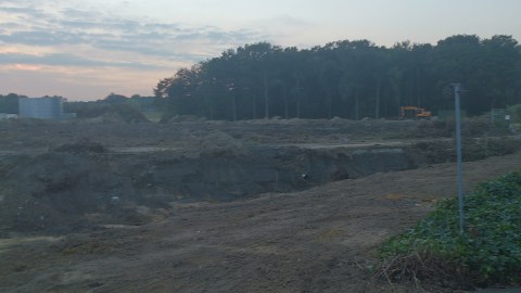 Het nog resterende stukje bos is nu bedreigd door verstoring van de waterhuishouding.